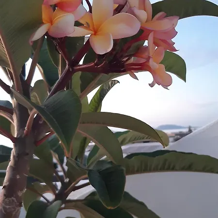 Casa vacanze La Belle Vie *