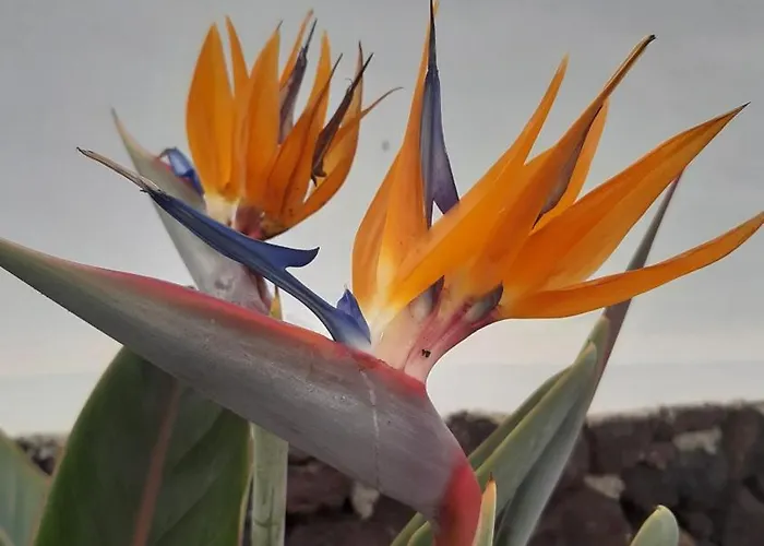 Casa vacanze La Belle Vie