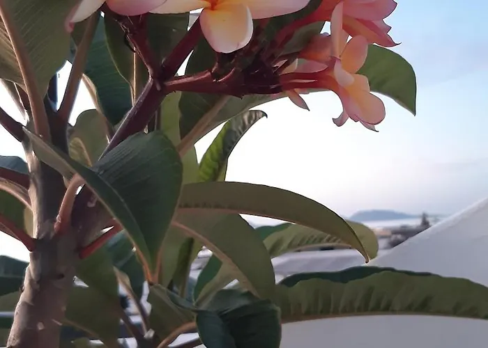 Casa vacanze La Belle Vie *